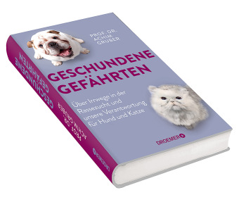 Geschundene Gefährten