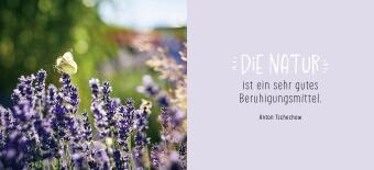 Gute Besserung
