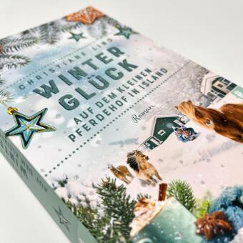 Winterglück auf dem kleinen Pferdehof in Island