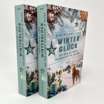 Winterglück auf dem kleinen Pferdehof in Island