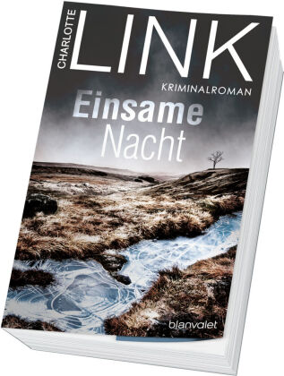 Einsame Nacht