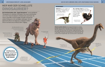 Total verrückt! Dinosaurier