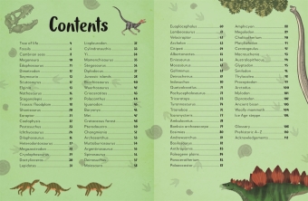 Mein liebstes Buch der Dinosaurier und anderer Lebewesen der Urzeit