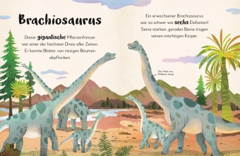 Mein liebstes Buch der Dinosaurier und anderer Lebewesen der Urzeit