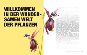Kuriose Pflanzen