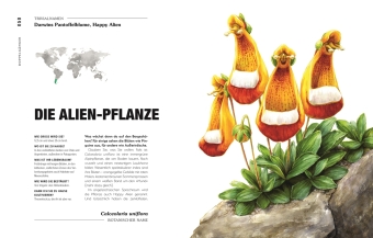 Kuriose Pflanzen