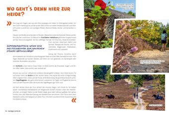 DUMONT Wanderzeit in Rheingau & Taunus