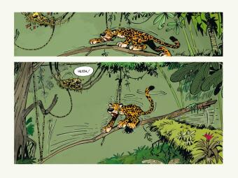 Huba! - Eine Marsupilami-Liebesgeschichte (Hochwertige Jubiläumsedition 100 Jahre Franquin)