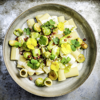 School of Taste veggie