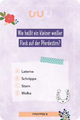 Kartenspiel: Das pferdestarke Quiz von den beliebten Social-Media-Stars Lia und Lea - # ponylife