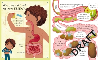 Was passiert in meinem Körper? 
