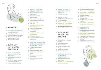 Was will mir meine Katze sagen?