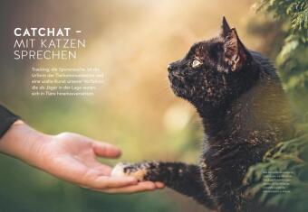 Was will mir meine Katze sagen?