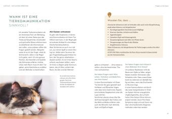Was will mir meine Katze sagen?