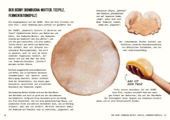 Kombucha do it yourself