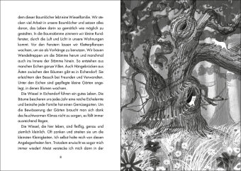 White Fox Chroniken (Band 1) - Das Geheimnis des Silberbaums