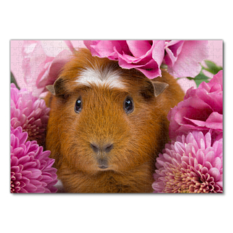 Lais Puzzle Meerschweinchen in rosa Blumen 500 Teile