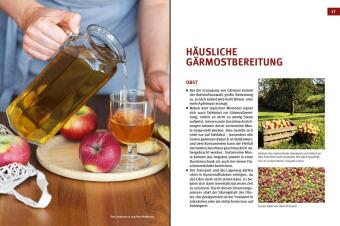 Cider, Most & Apfelwein