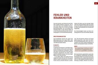 Cider, Most & Apfelwein