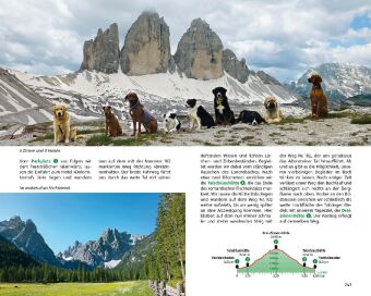 Wandern mit Hund Südtirol