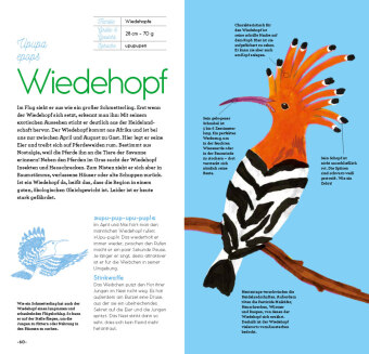 Magie der Vögel