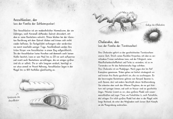 Mein geheimes Leben als Monsterjäger - Warum du niemals in einen Gully fallen solltest