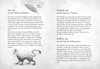 Mein geheimes Leben als Monsterjäger - Warum du niemals in einen Gully fallen solltest
