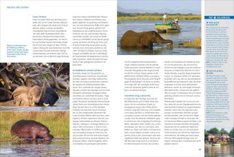 Das Reisebuch Afrikas Süden