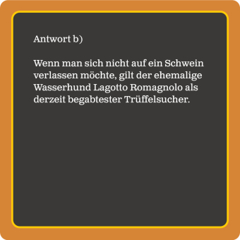 Das Hunde-Quiz (Neuauflage)