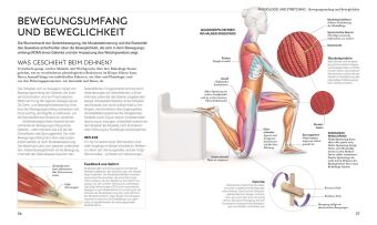 Stretching - Die Anatomie verstehen