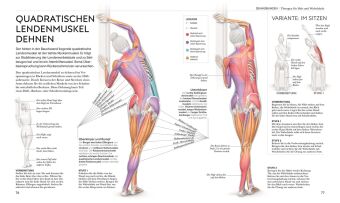 Stretching - Die Anatomie verstehen