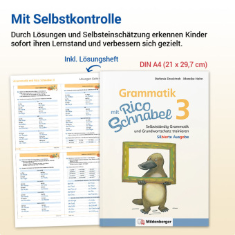 Grammatik mit Rico Schnabel, Klasse 3 - silbierte Ausgabe