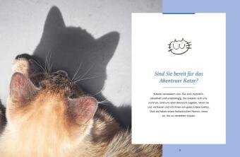 Wie wir Katzen glücklich machen