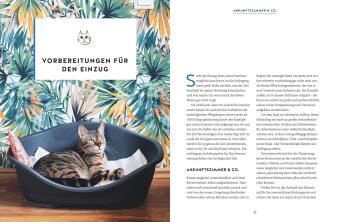 Wie wir Katzen glücklich machen