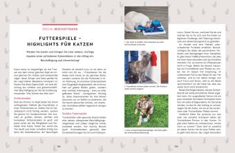 Wie wir Katzen glücklich machen