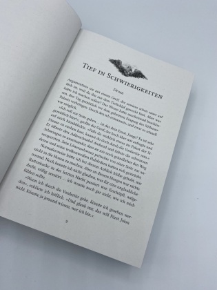 Der Fuchs von Aramir 