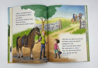 Die besten Pony- und Pferdegeschichten 