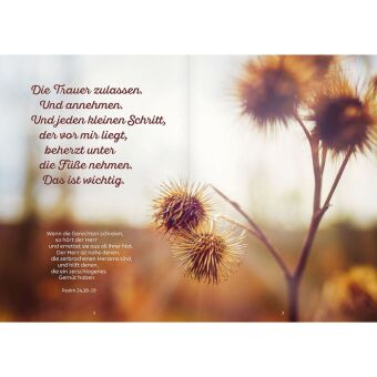 Sei ganz getrost an Gottes Hand