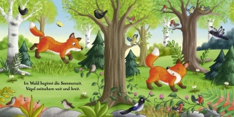 Es wird Sommer hier im Wald