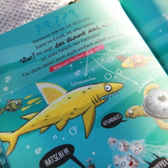 Ganz viele Meerestiere mit total behämmerten Namen und wie sie (ganz sicher) dazu kamen 