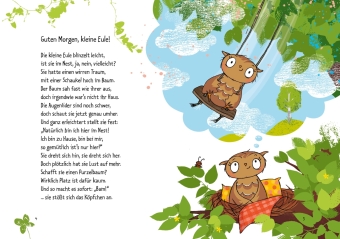 Die kleine Eule zieht um