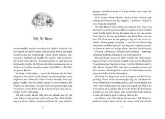 Ice Guardians 2. Der magische Eissplitter 