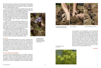 Handbuch Samengärtnerei
