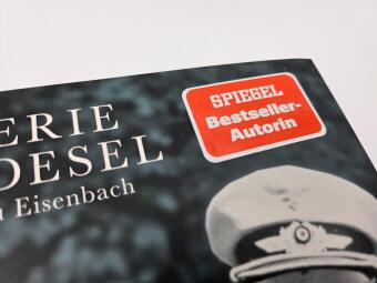 Der Flieger im Widerstand