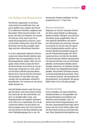 Meine Blase gesund und stark 