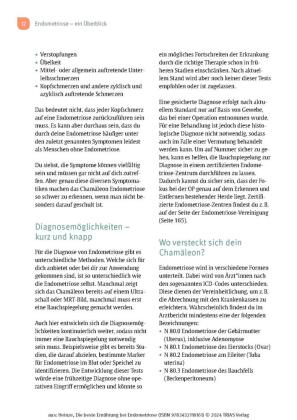 Die beste Ernährung bei Endometriose