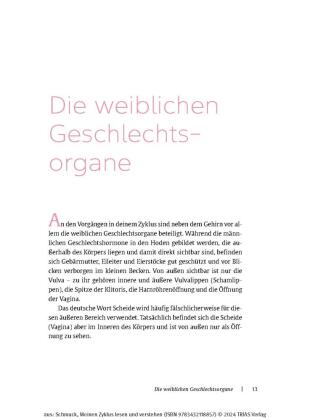 Meinen Zyklus lesen und verstehen 