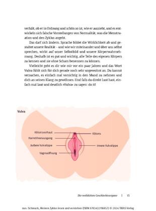 Meinen Zyklus lesen und verstehen 