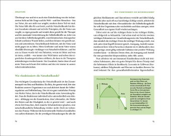 Die Natur-Docs - Meine besten Heilmittel für Gelenke. Arthrose, Rheuma und Schmerzen 