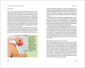 Die Natur-Docs - Meine besten Heilmittel für Gelenke. Arthrose, Rheuma und Schmerzen 
